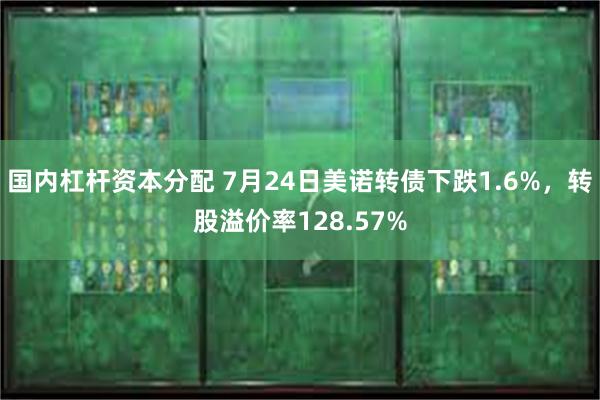 国内杠杆资本分配 7月24日美诺转债下跌1.6%，转股溢价率128.57%