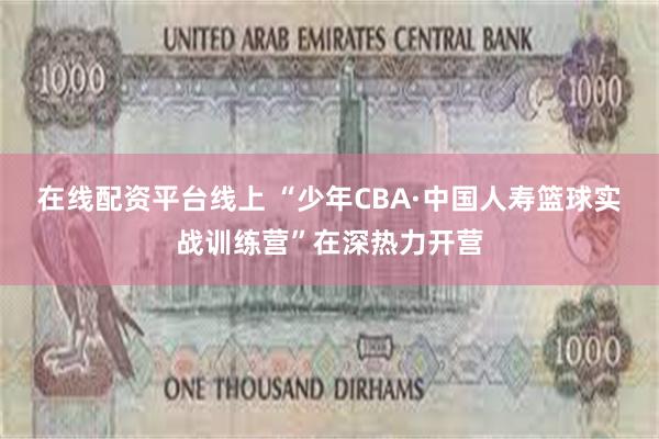 在线配资平台线上 “少年CBA·中国人寿篮球实战训练营”在深热力开营