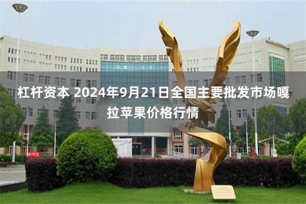 杠杆资本 2024年9月21日全国主要批发市场嘎拉苹果价格行情