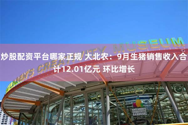 炒股配资平台哪家正规 大北农：9月生猪销售收入合计12.01亿元 环比增长