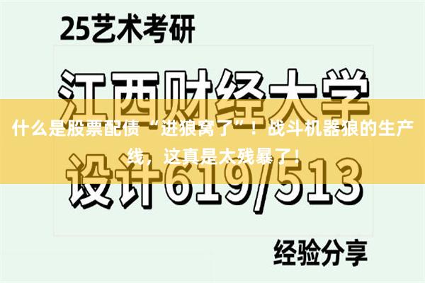 什么是股票配债 “进狼窝了”！战斗机器狼的生产线，这真是太残暴了！