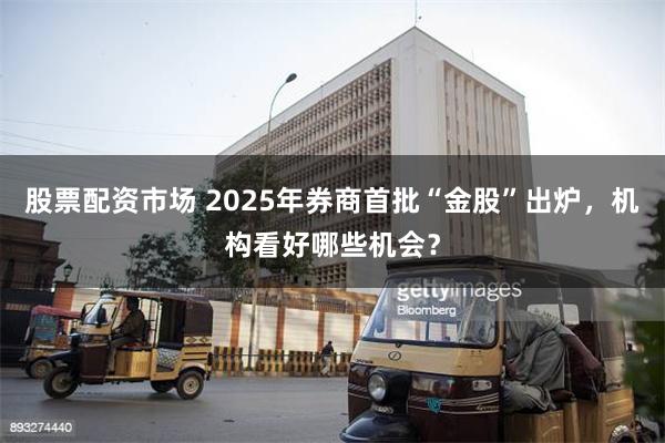 股票配资市场 2025年券商首批“金股”出炉，机构看好哪些机会？