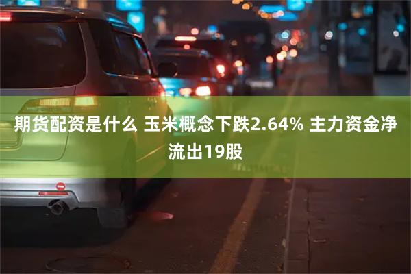 期货配资是什么 玉米概念下跌2.64% 主力资金净流出19股